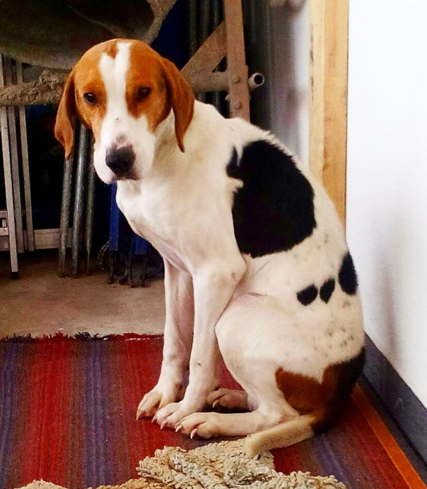 IMG_20181223_152704_037.jpg (202.42 КБ) Просмотров: 2730 IMG_20181223_152704_037.jpg