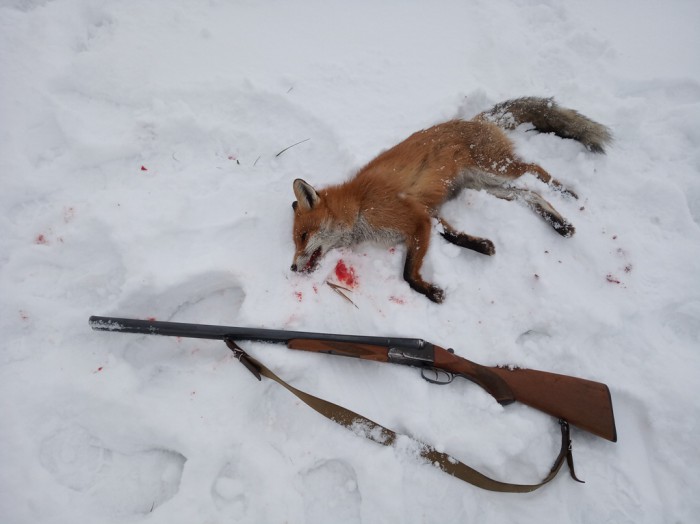 IMG_20190112_152108.jpg (184.94 КБ) Просмотров: 11024 IMG_20190112_152108.jpg