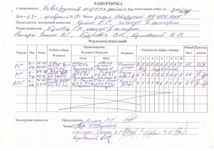 рапортичка 003022019.JPG