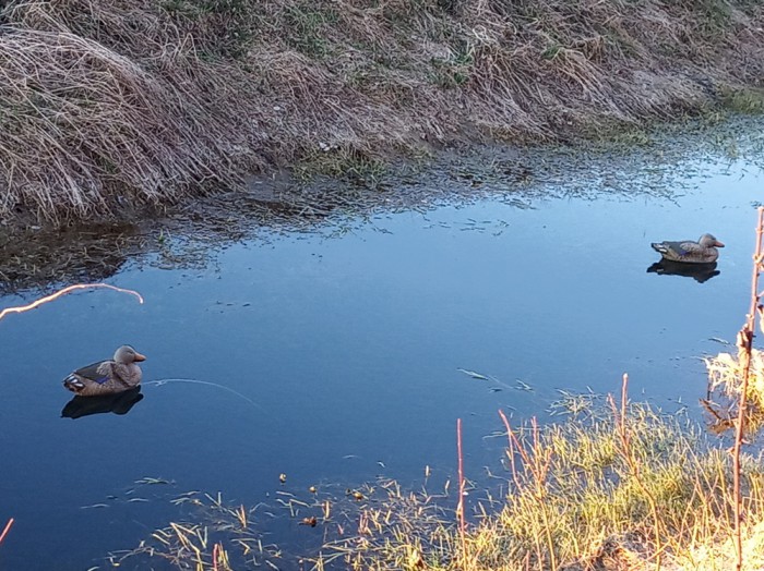 IMG_20190413_193658.jpg (418.53 КБ) Просмотров: 7426 IMG_20190413_193658.jpg