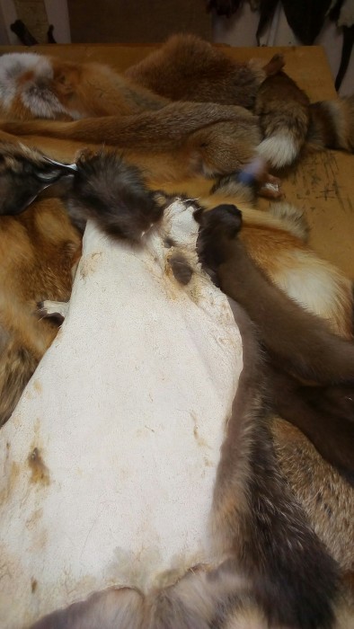 IMG_20181206_160855.jpg (1.77 МБ) Просмотров: 6981 IMG_20181206_160855.jpg