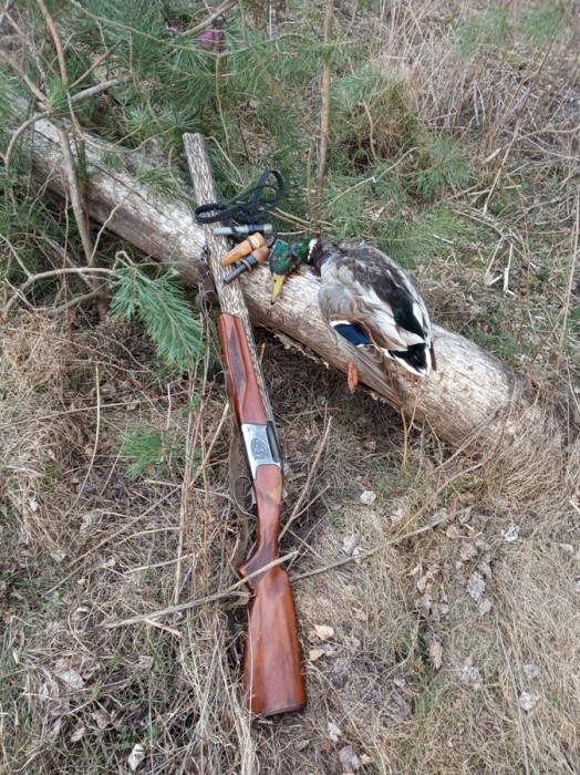 IMG_20200418_183808.jpg (487.7 КБ) Просмотров: 12018 IMG_20200418_183808.jpg