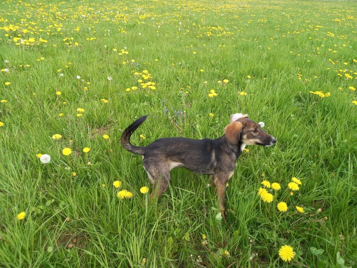 20200529_180806.jpg (2.43 МБ) Просмотров: 4032 20200529_180806.jpg