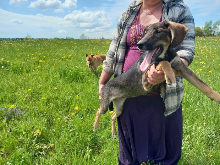 20200529_180712.jpg (1.78 МБ) Просмотров: 4032 20200529_180712.jpg