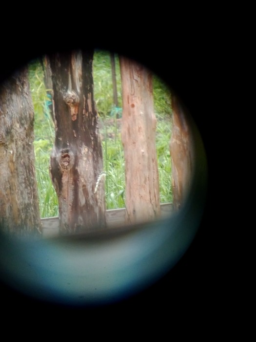 изображение_viber_2020-06-21_09-25-06.jpg (156.45 КБ) Просмотров: 5002 изображение_viber_2020-06-21_09-25-06.jpg