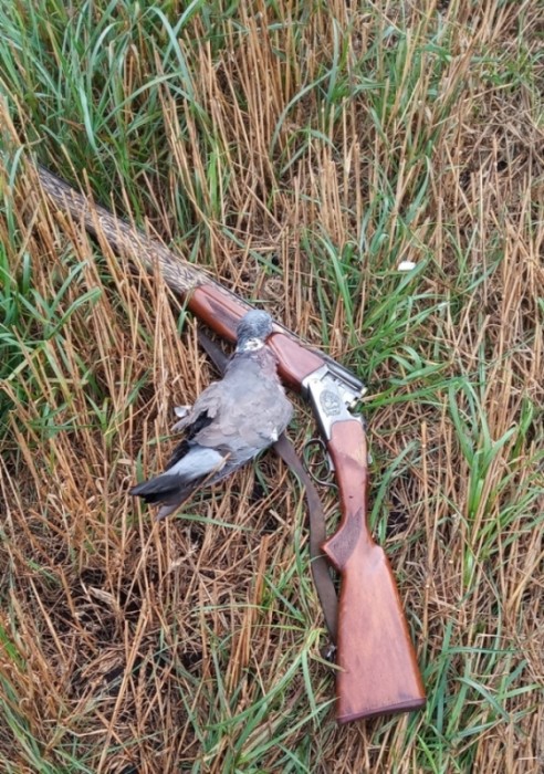 IMG_20200831_113308.jpg (353.81 КБ) Просмотров: 7773 IMG_20200831_113308.jpg