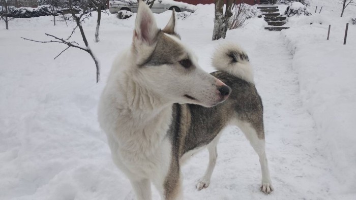 IMG-0a6b8acc2b064b812b660db85e6e00c9-V.jpg (75.69 КБ) Просмотров: 3703 IMG-0a6b8acc2b064b812b660db85e6e00c9-V.jpg