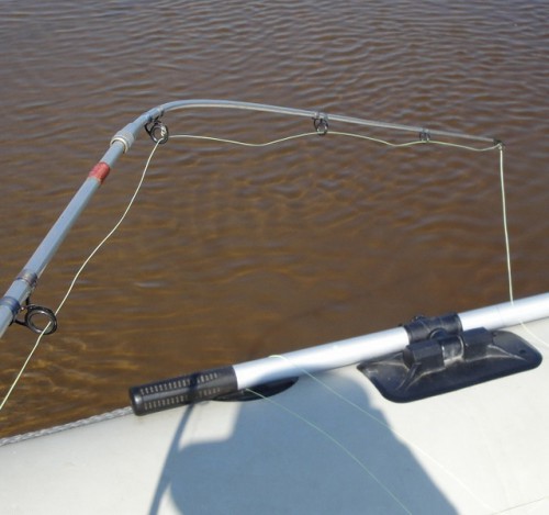 сомяры спин.jpg (116.35 КБ) Просмотров: 13768 сомяры спин.jpg