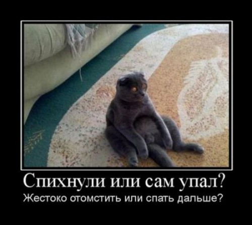 1333637432_demotivatory-53.jpg