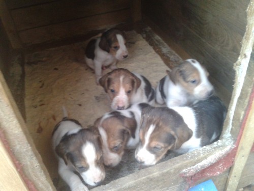 Π€ΠΎΡΠΎ-0020.jpg (1.23 ΠΠ) ΠΡΠΎΡΠΌΠΎΡΡΠΎΠ²: 2609 Π€ΠΎΡΠΎ-0020.jpg