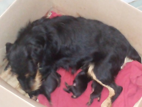 20150106_174758.jpg (1.59 МБ) Просмотров: 1970 20150106_174758.jpg