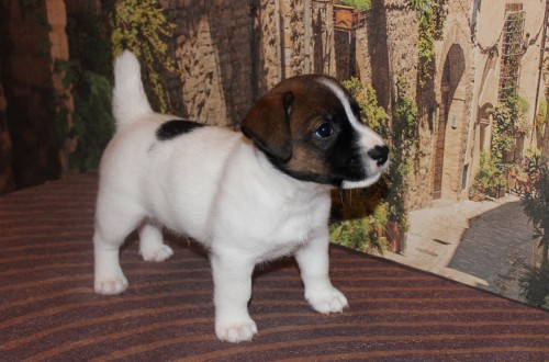 IMG_2625.jpg (1.96 МБ) Просмотров: 3102 IMG_2625.jpg