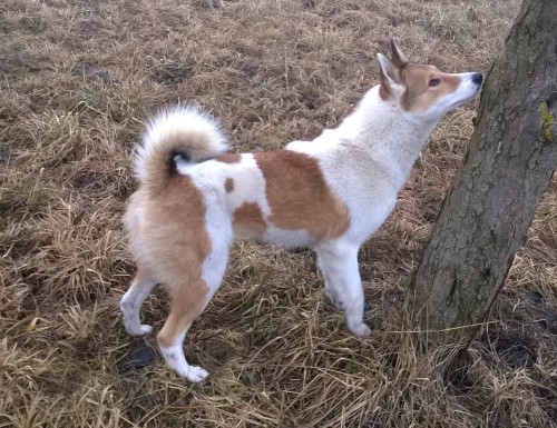 2.jpg (1.17 МБ) Просмотров: 1504 2.jpg