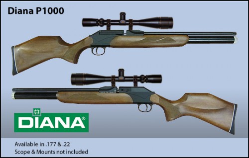 Diana_P1000.jpg (109.37 КБ) Просмотров: 10867 Diana_P1000.jpg