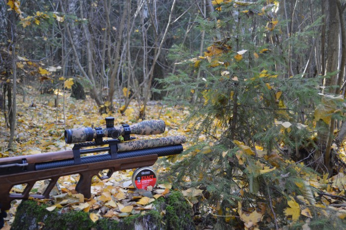 _DSC0062.JPG (1.97 МБ) Просмотров: 15513 _DSC0062.JPG