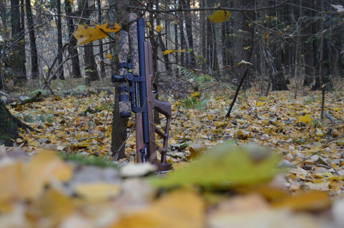 _DSC0068.JPG (1.67 МБ) Просмотров: 15513 _DSC0068.JPG