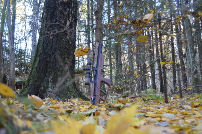 _DSC0069.JPG (1.56 МБ) Просмотров: 15513 _DSC0069.JPG