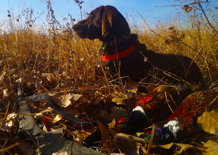 дубль Арго ко дню 7 ноября.jpg (409.43 КБ) Просмотров: 15799 дубль Арго ко дню 7 ноября.jpg