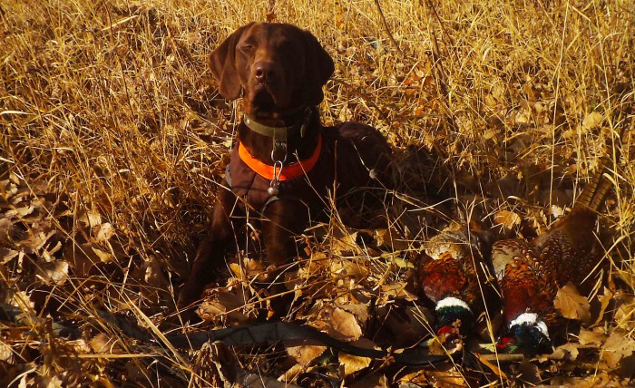 Безимени-2.jpg (384.03 КБ) Просмотров: 15799 Безимени-2.jpg