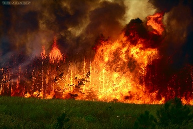 forest_fire.jpg