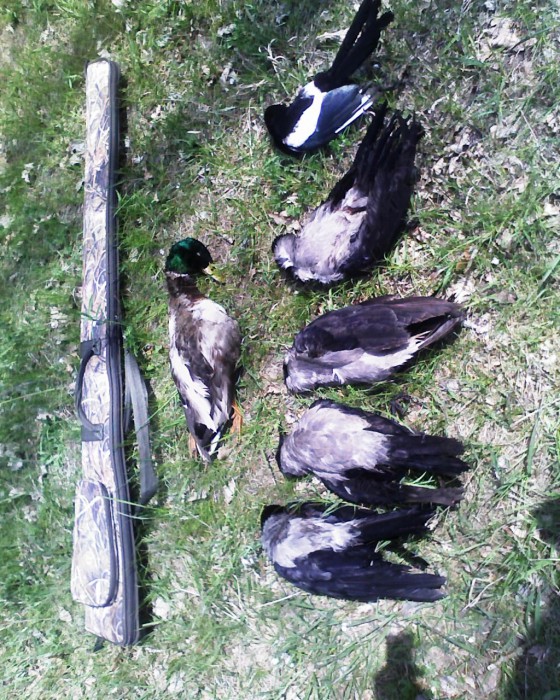 Фото 0969.jpg (517.8 КБ) Просмотров: 7967 Фото 0969.jpg