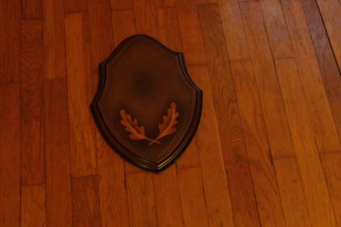 _MG_8739.JPG (181.25 КБ) Просмотров: 2755 _MG_8739.JPG