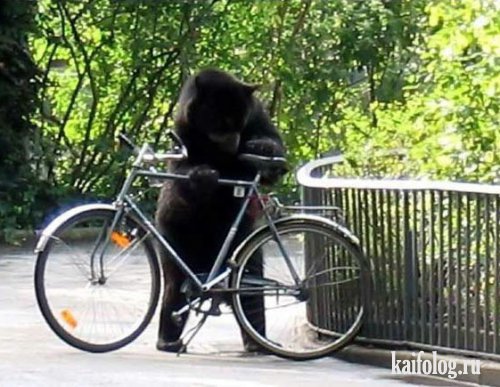 Скорей на свидание.jpg