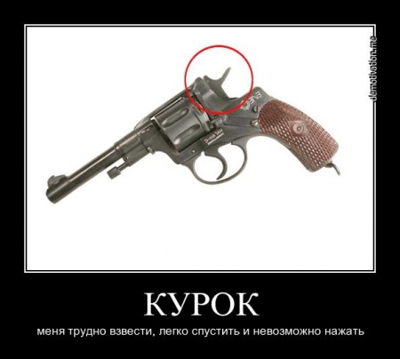 bviep668eplh.jpg