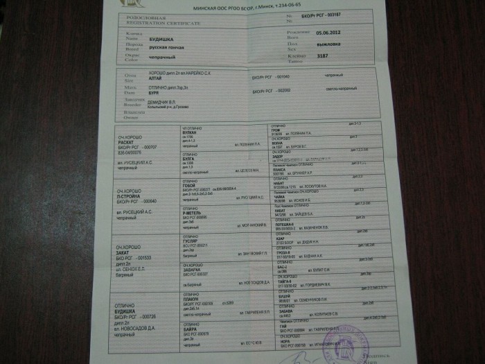 родословная.jpg (237.7 КБ) Просмотров: 1296 родословная.jpg