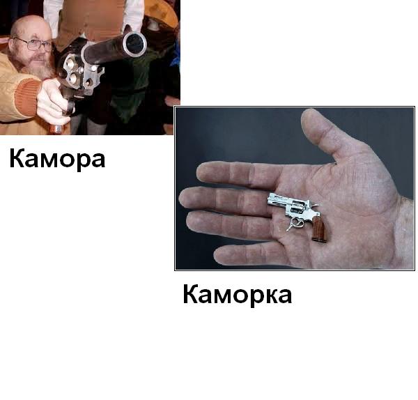 Камора.jpg