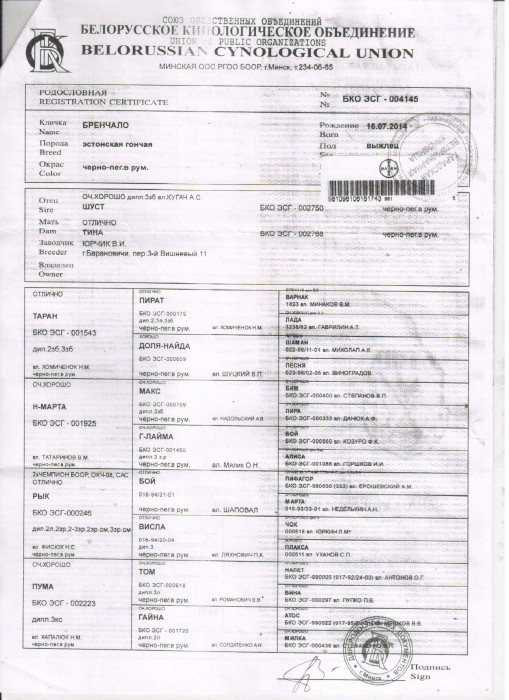 004145 002750.jpg (398.88 КБ) Просмотров: 24281 004145 002750.jpg