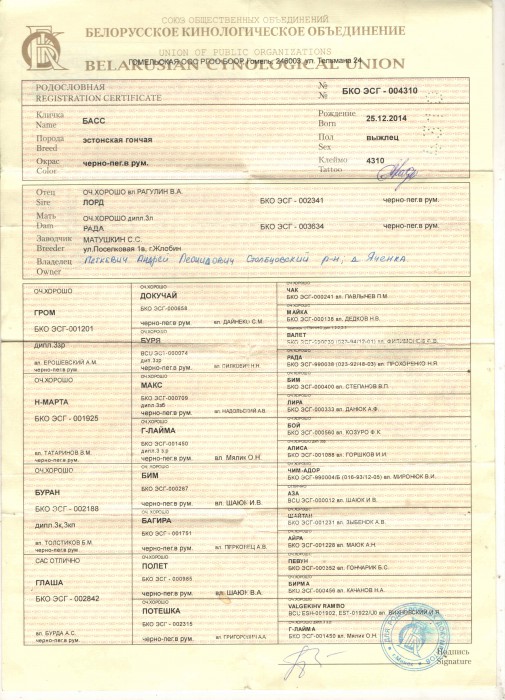004310 003634 002188.jpg (862.82 КБ) Просмотров: 24281 004310 003634 002188.jpg