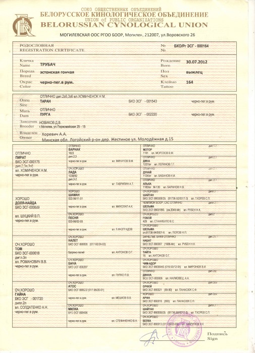 000164 001543 001720.jpg (982.32 КБ) Просмотров: 24281 000164 001543 001720.jpg