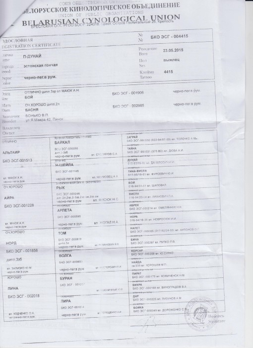 004415.jpg (885.9 КБ) Просмотров: 24281 004415.jpg