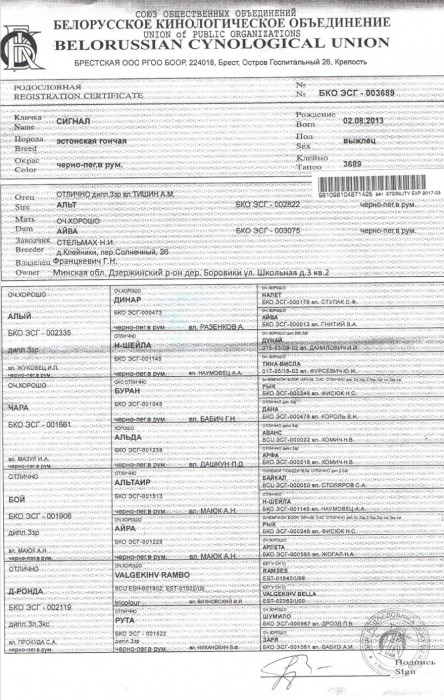 002822_1.jpg (541.98 КБ) Просмотров: 24281 002822_1.jpg