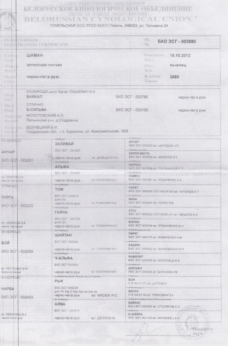 003880_1.jpg (331.17 КБ) Просмотров: 24281 003880_1.jpg