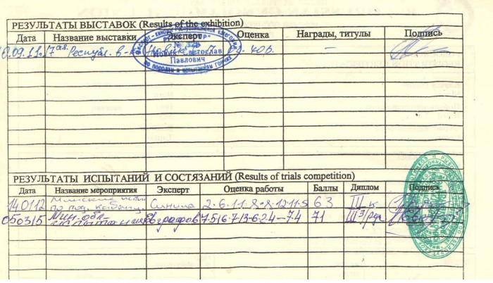 002837_2.jpg (455.27 КБ) Просмотров: 24281 002837_2.jpg