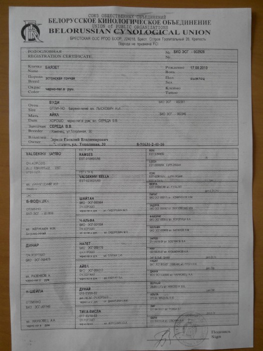 002928_1.jpg (710.25 КБ) Просмотров: 24281 002928_1.jpg
