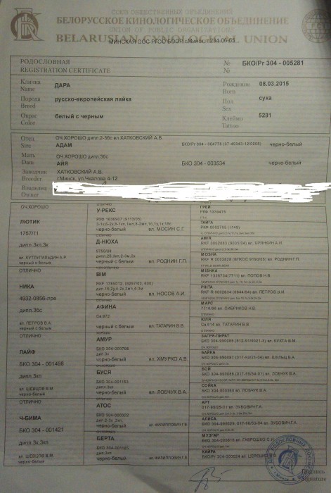 IMAG0042.jpg (1.51 МБ) Просмотров: 2185 IMAG0042.jpg