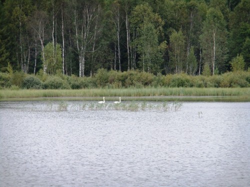 Покатуха 16-08-2011 049_1.jpg