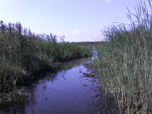 IMG01080.jpg (211.85 КБ) Просмотров: 6823 IMG01080.jpg