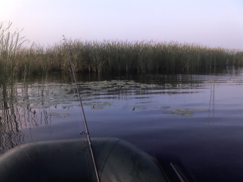 IMG01039.jpg (472.91 КБ) Просмотров: 6820 IMG01039.jpg