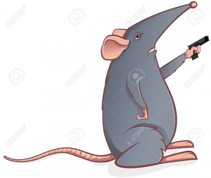 12488728-grey-mouse-with-a-pistol-Stock-Photo.jpg