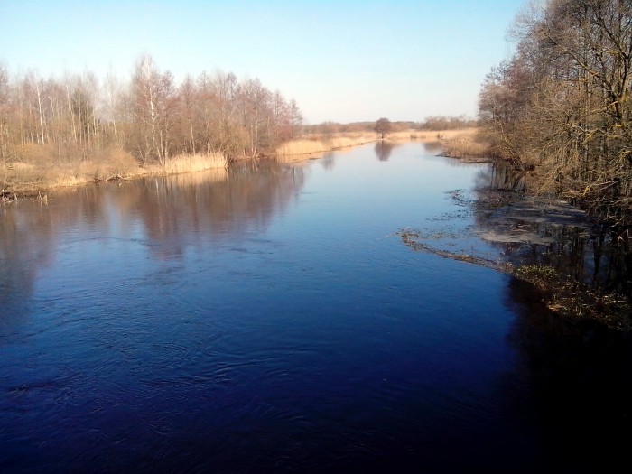 р. Птичь, 4.04.2018_14.jpg