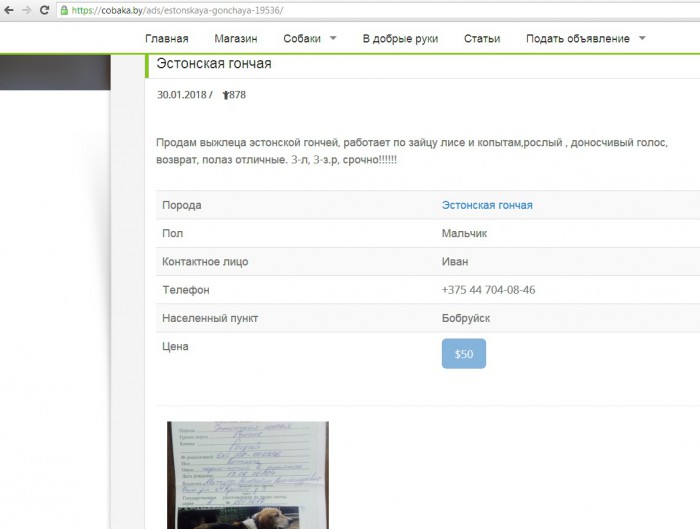 002996_объявление.jpg (120.61 КБ) Просмотров: 22371 002996_объявление.jpg