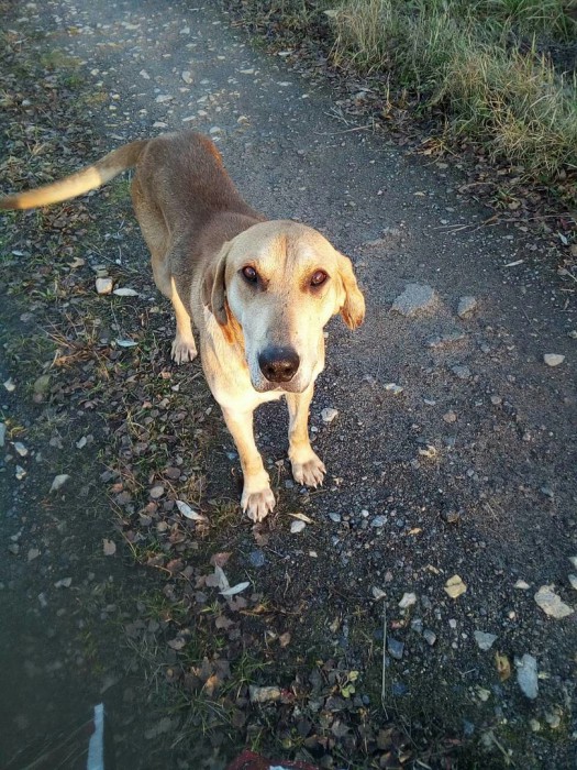 rFRK7gp7Q5E.jpg (553.5 КБ) Просмотров: 41715 rFRK7gp7Q5E.jpg