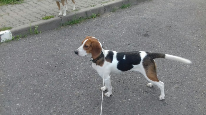 IMG_20181118_212555_494.jpg (185.66 КБ) Просмотров: 1486 IMG_20181118_212555_494.jpg