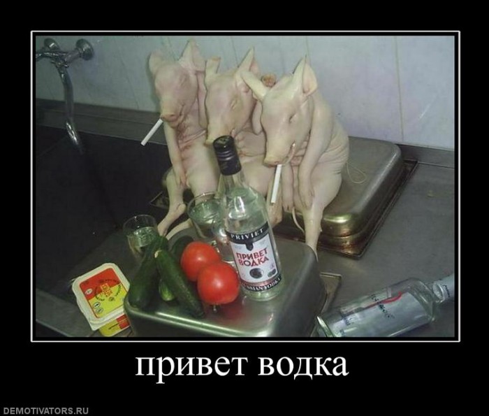 149880_privet-vodka.jpg