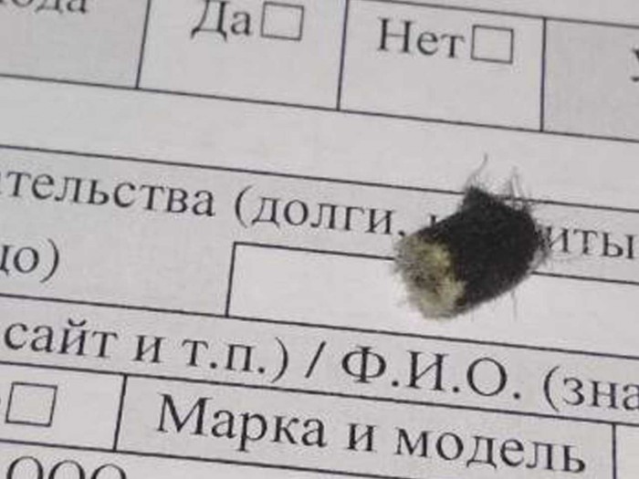 viber image.jpg (82.61 КБ) Просмотров: 22350 viber image.jpg