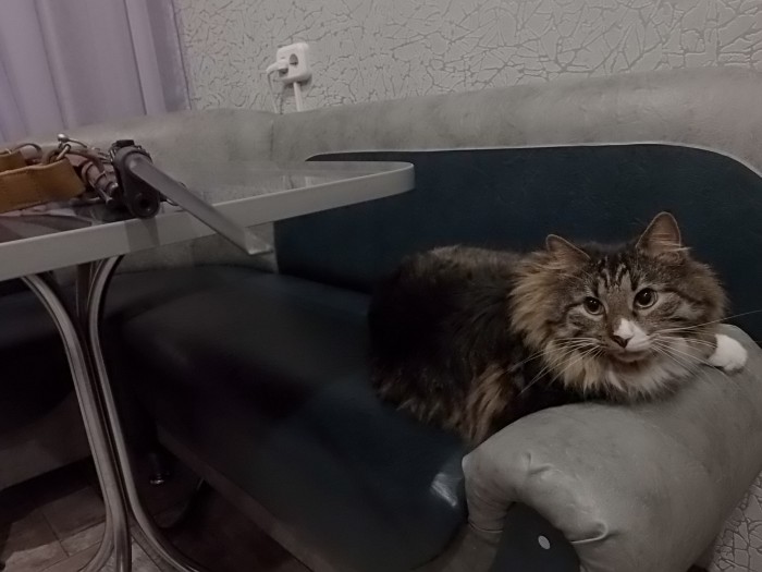 14.JPG (1.3 МБ) Просмотров: 14411 14.JPG